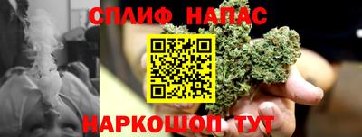 СК Пыть-Ях