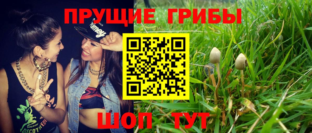 Галлюциногенные грибы мицелий Пушкино